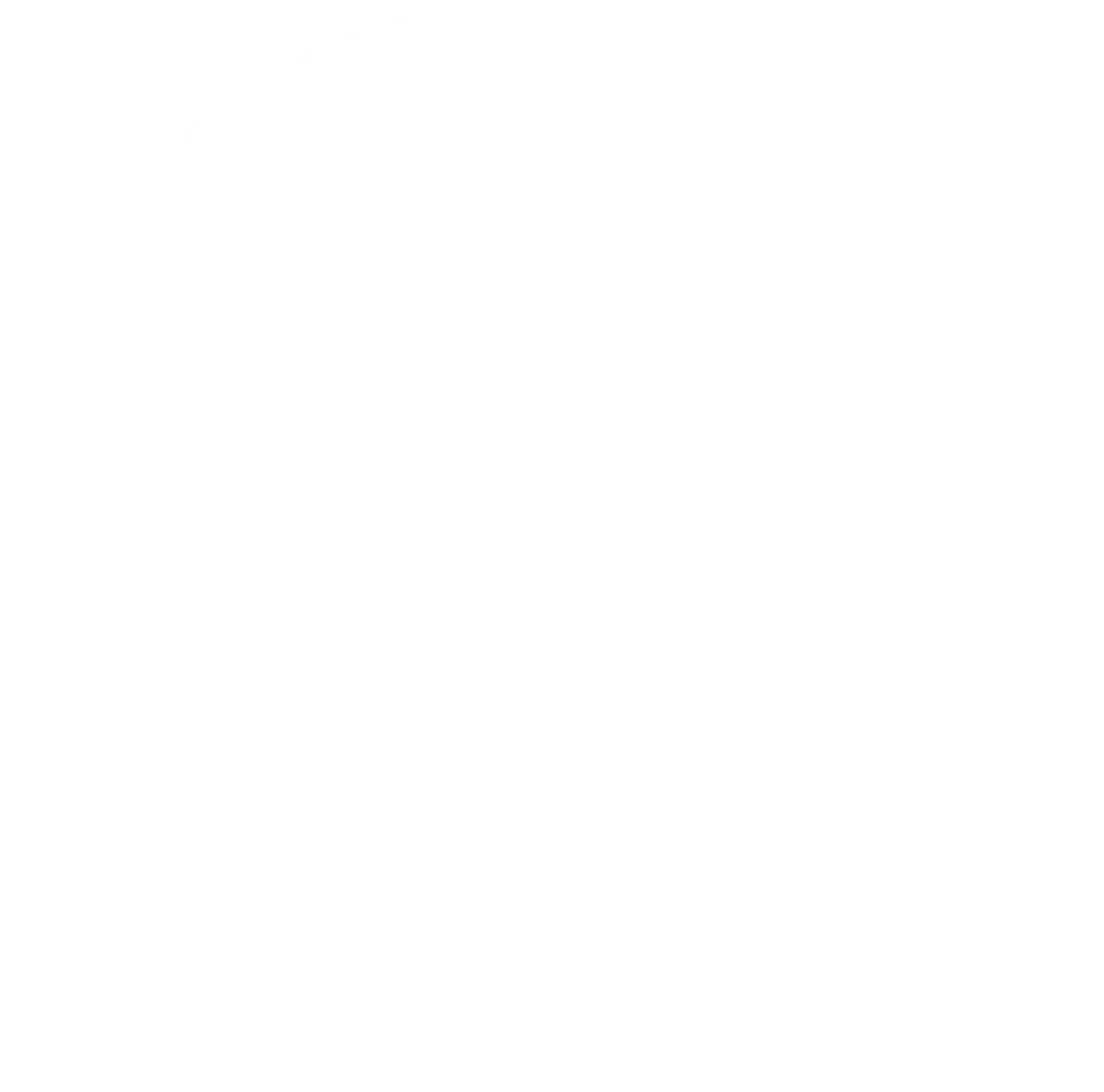 orpi logo o blanc